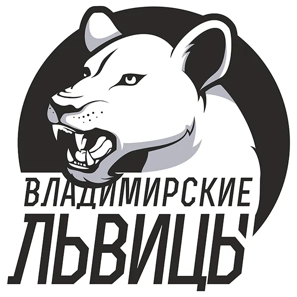 ЖБК Владимирские Львицы