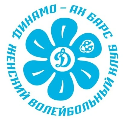 ЖВК Динамо—Ак Барс