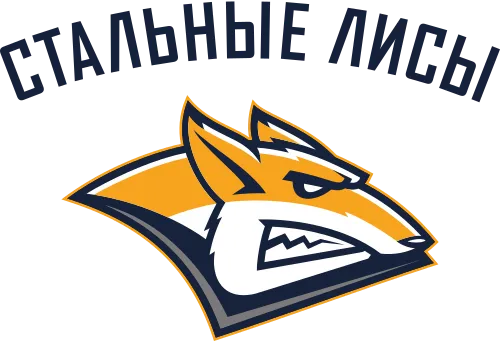 МХК Стальные лисы